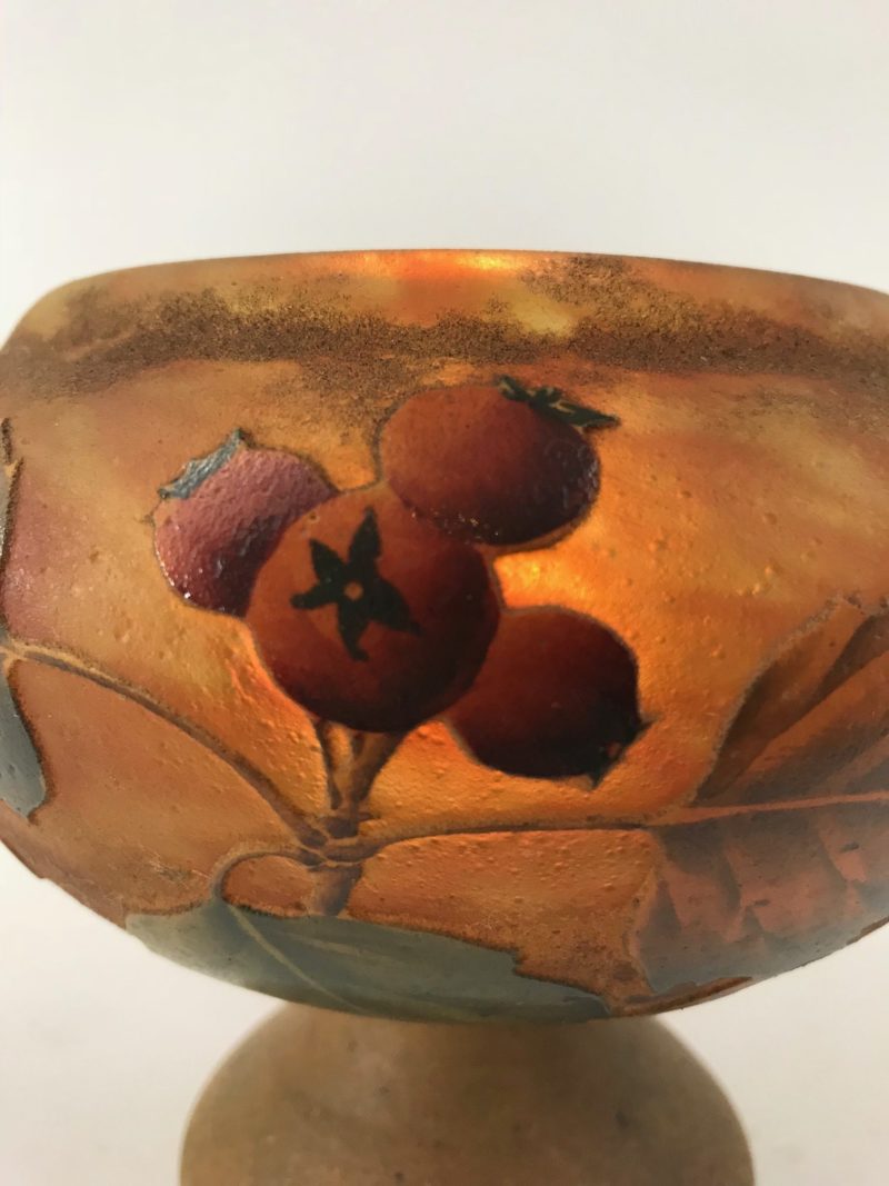 Daum Nany Vase "Hagebutte"